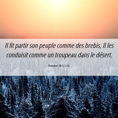 Picture 06 - Psaumes 78:52 LSG - Il fit partir son peuple comme des brebis, Il les - Bible Verse Picture