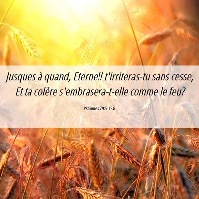 Picture 06 - Psaumes 79:5 LSG - Jusques à quand, Eternel! t'irriteras-tu sans - Bible Verse Picture