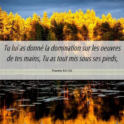 Picture 06 - Psaumes 8:6 LSG - Tu lui as donné la domination sur les oeuvres de - Bible Verse Picture