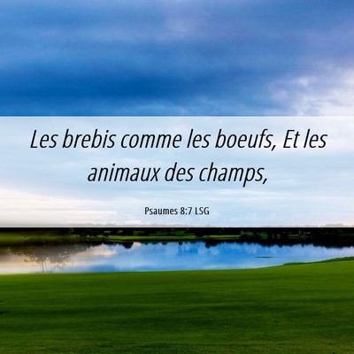 Picture 06 - Psaumes 8:7 LSG - Les brebis comme les boeufs, Et les animaux des - Bible Verse Picture