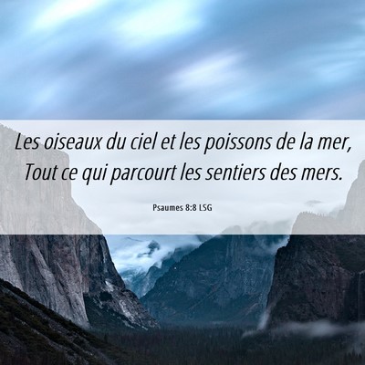 Picture 06 - Psaumes 8:8 LSG - Les oiseaux du ciel et les poissons de la mer, - Bible Verse Picture
