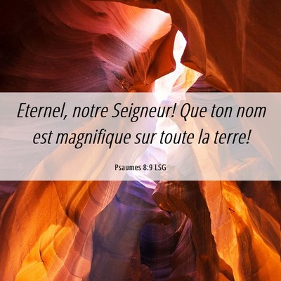 Picture 06 - Psaumes 8:9 LSG - Eternel, notre Seigneur! Que ton nom est - Bible Verse Picture