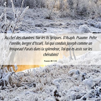 Picture 06 - Psaumes 80:1 LSG - Au chef des chantres. Sur les lis lyriques. - Bible Verse Picture