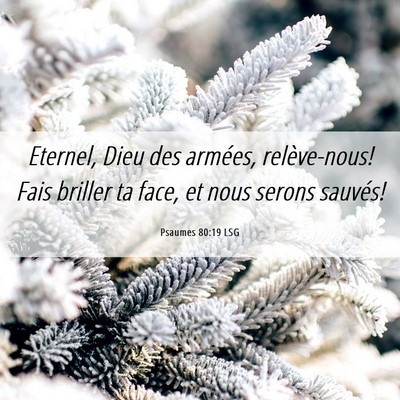 Picture 06 - Psaumes 80:19 LSG - Eternel, Dieu des armées, relève-nous! Fais - Bible Verse Picture