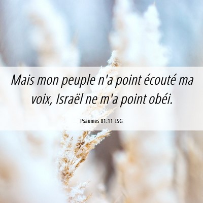 Picture 06 - Psaumes 81:11 LSG - Mais mon peuple n'a point écouté ma voix, - Bible Verse Picture