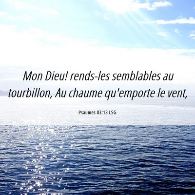 Picture 06 - Psaumes 83:13 LSG - Mon Dieu! rends-les semblables au tourbillon, Au - Bible Verse Picture