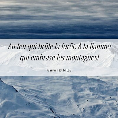 Picture 06 - Psaumes 83:14 LSG - Au feu qui brûle la forêt, A la flamme qui - Bible Verse Picture