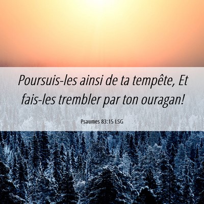 Picture 06 - Psaumes 83:15 LSG - Poursuis-les ainsi de ta tempête, Et fais-les - Bible Verse Picture