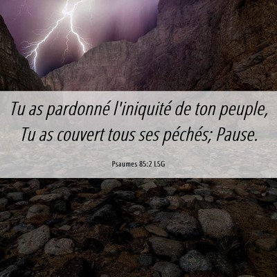 Picture 06 - Psaumes 85:2 LSG - Tu as pardonné l'iniquité de ton peuple, Tu as - Bible Verse Picture