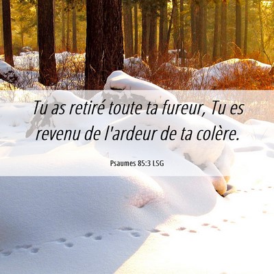Picture 06 - Psaumes 85:3 LSG - Tu as retiré toute ta fureur, Tu es revenu de - Bible Verse Picture