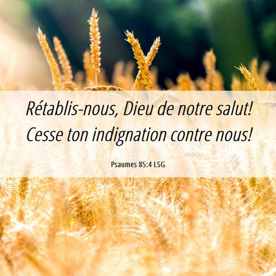 Picture 06 - Psaumes 85:4 LSG - Rétablis-nous, Dieu de notre salut! Cesse ton - Bible Verse Picture