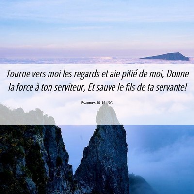 Picture 06 - Psaumes 86:16 LSG - Tourne vers moi les regards et aie pitié de moi, - Bible Verse Picture