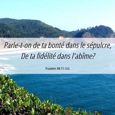 Picture 06 - Psaumes 88:11 LSG - Parle-t-on de ta bonté dans le sépulcre, De ta - Bible Verse Picture