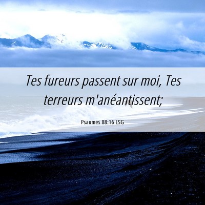 Picture 06 - Psaumes 88:16 LSG - Tes fureurs passent sur moi, Tes terreurs - Bible Verse Picture