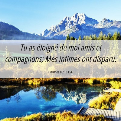 Picture 06 - Psaumes 88:18 LSG - Tu as éloigné de moi amis et compagnons; Mes - Bible Verse Picture