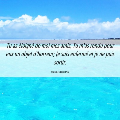 Picture 06 - Psaumes 88:8 LSG - Tu as éloigné de moi mes amis, Tu m'as rendu - Bible Verse Picture