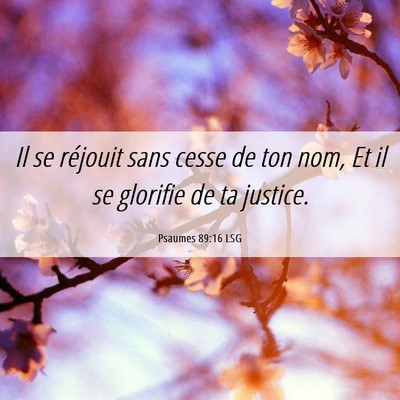 Picture 06 - Psaumes 89:16 LSG - Il se réjouit sans cesse de ton nom, Et il se - Bible Verse Picture