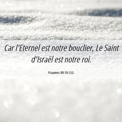 Picture 06 - Psaumes 89:18 LSG - Car l'Eternel est notre bouclier, Le Saint - Bible Verse Picture