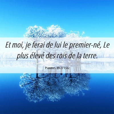 Picture 06 - Psaumes 89:27 LSG - Et moi, je ferai de lui le premier-né, Le plus - Bible Verse Picture