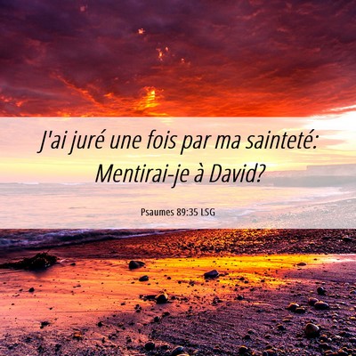 Picture 06 - Psaumes 89:35 LSG - J'ai juré une fois par ma sainteté: Mentirai-je - Bible Verse Picture