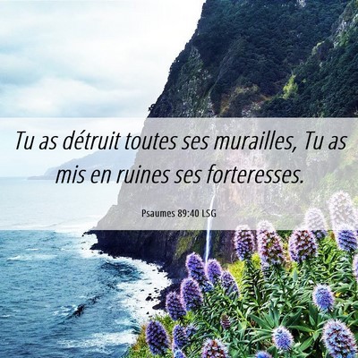 Picture 06 - Psaumes 89:40 LSG - Tu as détruit toutes ses murailles, Tu as mis en - Bible Verse Picture