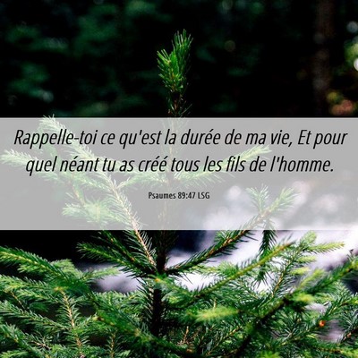 Picture 06 - Psaumes 89:47 LSG - Rappelle-toi ce qu'est la durée de ma vie, Et - Bible Verse Picture