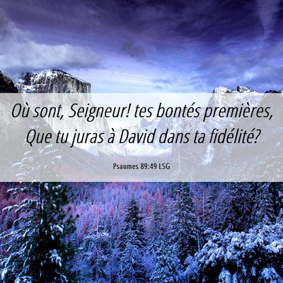 Picture 06 - Psaumes 89:49 LSG - Où sont, Seigneur! tes bontés premières, Que - Bible Verse Picture