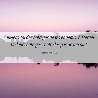 Picture 06 - Psaumes 89:51 LSG - Souviens-toi des outrages de tes ennemis, ô - Bible Verse Picture