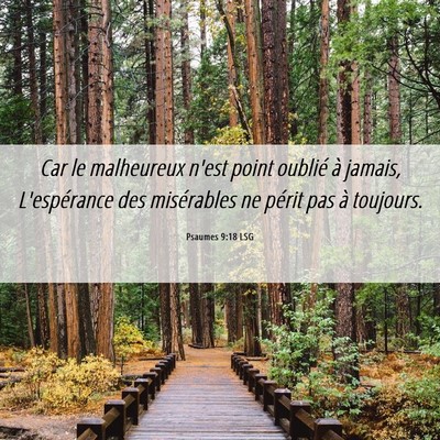 Picture 06 - Psaumes 9:18 LSG - Car le malheureux n'est point oublié à jamais, - Bible Verse Picture