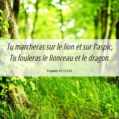 Picture 06 - Psaumes 91:13 LSG - Tu marcheras sur le lion et sur l'aspic, Tu - Bible Verse Picture