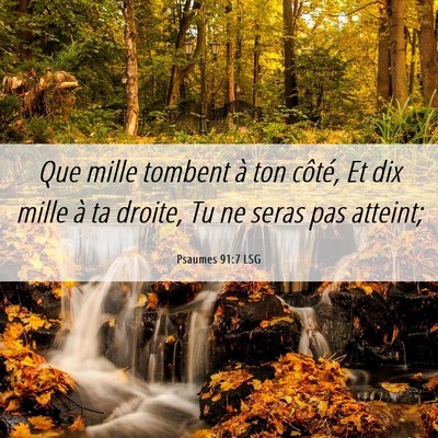 Picture 06 - Psaumes 91:7 LSG - Que mille tombent à ton côté, Et dix mille à - Bible Verse Picture