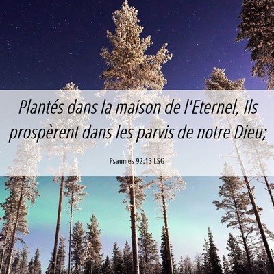 Picture 06 - Psaumes 92:13 LSG - Plantés dans la maison de l'Eternel, Ils - Bible Verse Picture