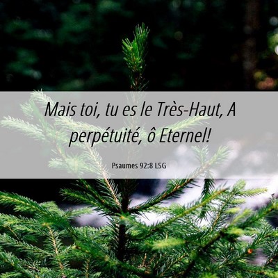Picture 06 - Psaumes 92:8 LSG - Mais toi, tu es le Très-Haut, A perpétuité, ô - Bible Verse Picture