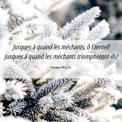 Picture 06 - Psaumes 94:3 LSG - Jusques à quand les méchants, ô Eternel! - Bible Verse Picture