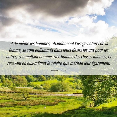 Picture 06 - Romains 1:27 LSG - et de même les hommes, abandonnant l'usage - Bible Verse Picture