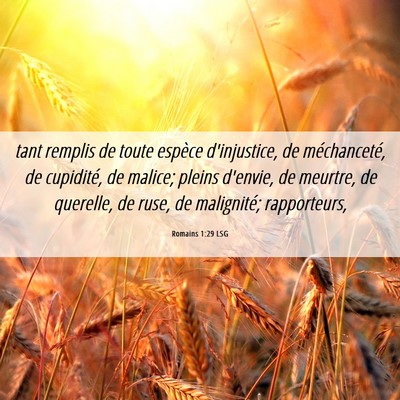 Picture 06 - Romains 1:29 LSG - tant remplis de toute espèce d'injustice, de - Bible Verse Picture
