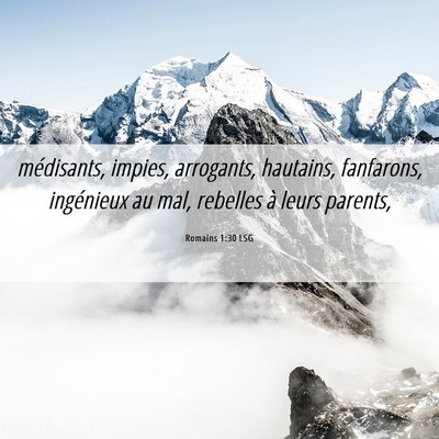 Picture 06 - Romains 1:30 LSG - médisants, impies, arrogants, hautains, - Bible Verse Picture