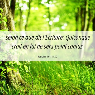 Picture 06 - Romains 10:11 LSG - selon ce que dit l'Ecriture: Quiconque croit en - Bible Verse Picture