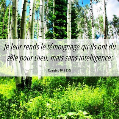Picture 06 - Romains 10:2 LSG - Je leur rends le témoignage qu'ils ont du zèle - Bible Verse Picture