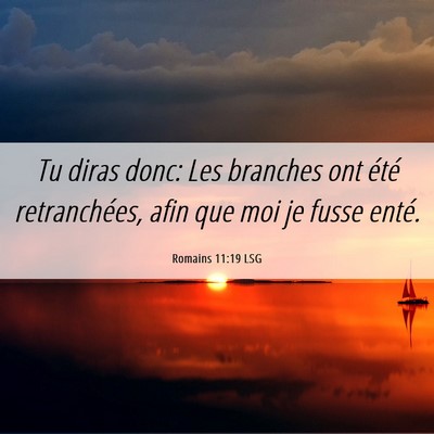 Picture 06 - Romains 11:19 LSG - Tu diras donc: Les branches ont été - Bible Verse Picture
