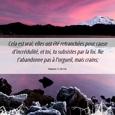 Picture 06 - Romains 11:20 LSG - Cela est vrai; elles ont été retranchées pour - Bible Verse Picture
