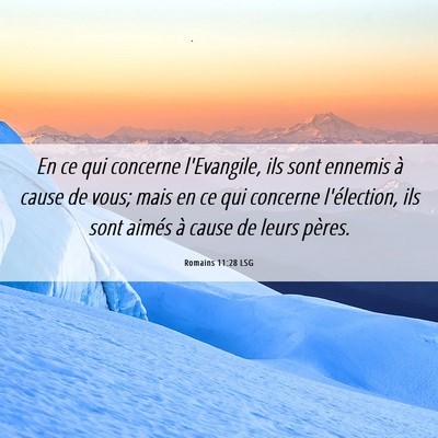 Picture 06 - Romains 11:28 LSG - En ce qui concerne l'Evangile, ils sont ennemis - Bible Verse Picture