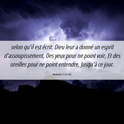 Picture 06 - Romains 11:8 LSG - selon qu'il est écrit: Dieu leur a donné un - Bible Verse Picture