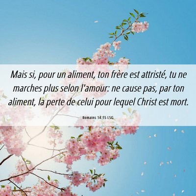 Picture 06 - Romains 14:15 LSG - Mais si, pour un aliment, ton frère est - Bible Verse Picture