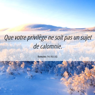 Picture 06 - Romains 14:16 LSG - Que votre privilège ne soit pas un sujet de - Bible Verse Picture
