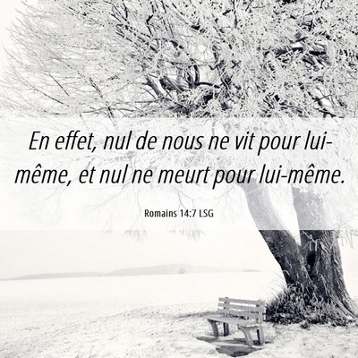 Picture 06 - Romains 14:7 LSG - En effet, nul de nous ne vit pour lui-même, et - Bible Verse Picture