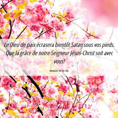 Picture 06 - Romains 16:20 LSG - Le Dieu de paix écrasera bientôt Satan sous vos - Bible Verse Picture