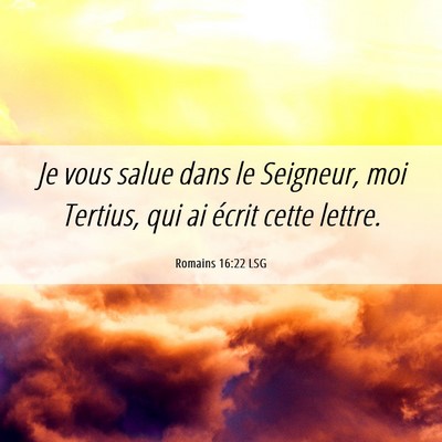 Picture 06 - Romains 16:22 LSG - Je vous salue dans le Seigneur, moi Tertius, qui - Bible Verse Picture