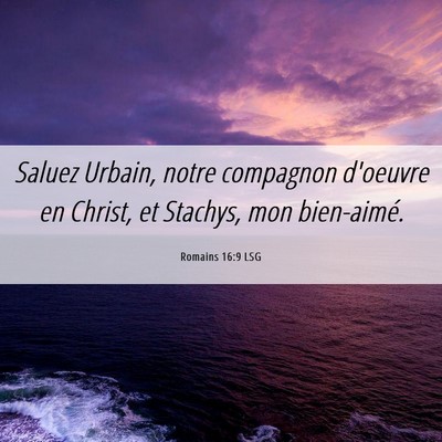 Picture 06 - Romains 16:9 LSG - Saluez Urbain, notre compagnon d'oeuvre en - Bible Verse Picture