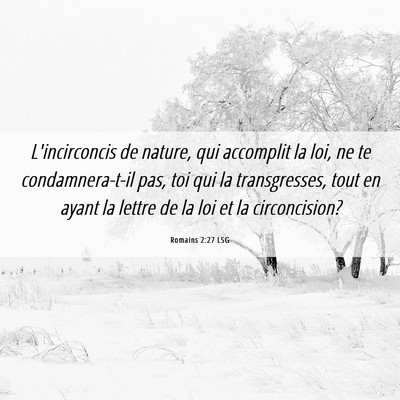 Picture 06 - Romains 2:27 LSG - L'incirconcis de nature, qui accomplit la loi, ne - Bible Verse Picture